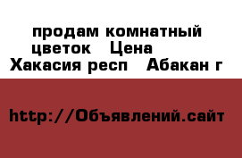 продам комнатный цветок › Цена ­ 600 - Хакасия респ., Абакан г.  »    